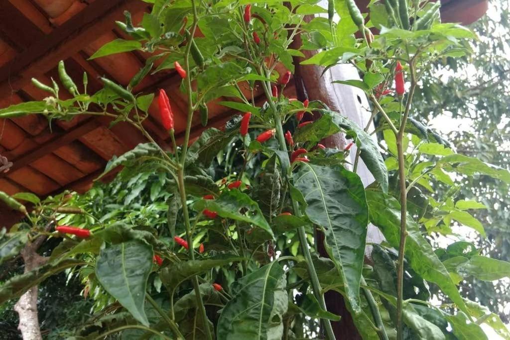Condominio Shambala Piri Pirenópolis Esterno foto
